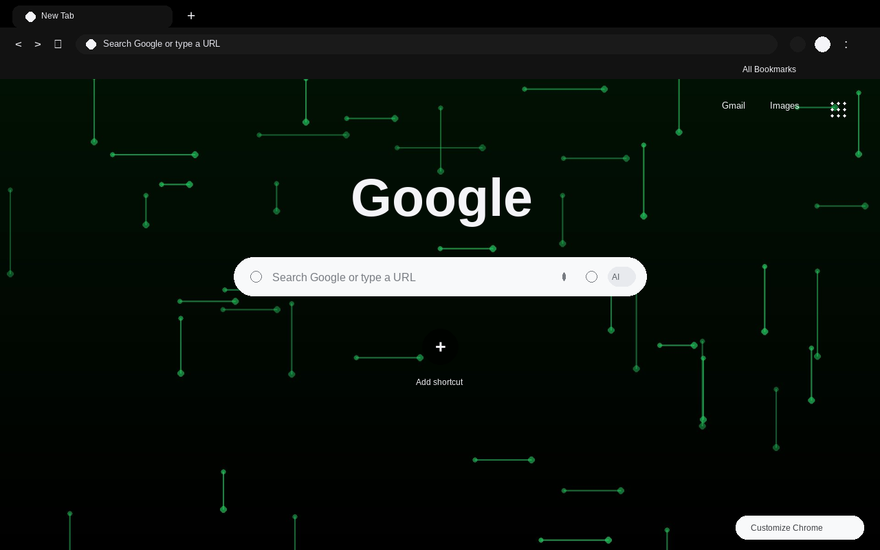 Hacker Terminal Theme